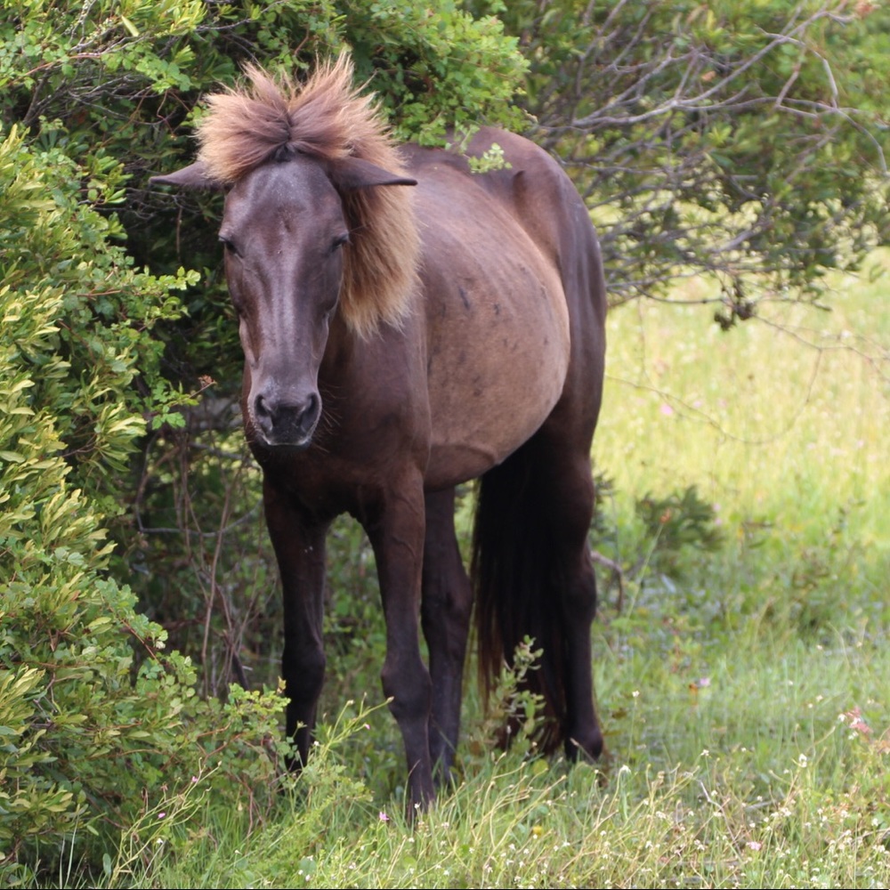 Meet your Posher, Michele